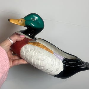May include: A ceramic duck planter with a green head, yellow beak, and a body featuring red, white, black, and gold colors. The planter is designed to hold plants and adds a decorative touch to any space.