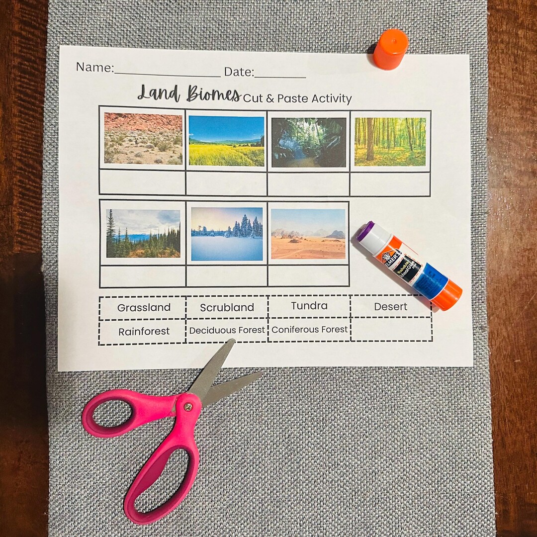 Terrestrial Land Biomes Cut and Paste Learning Activity - Etsy