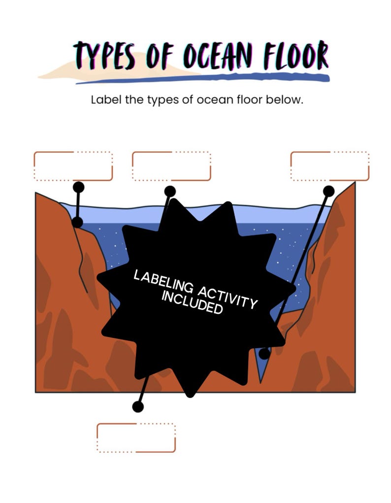 Types of Ocean Floor Worksheets - Etsy