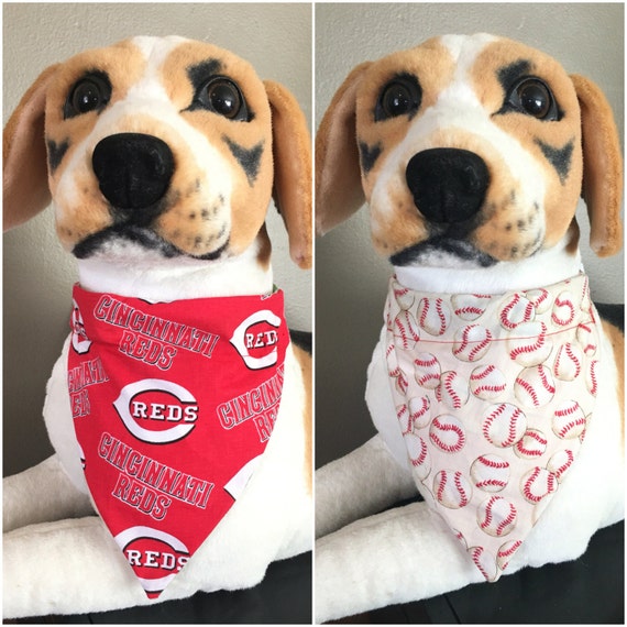 cincinnati reds dog jersey