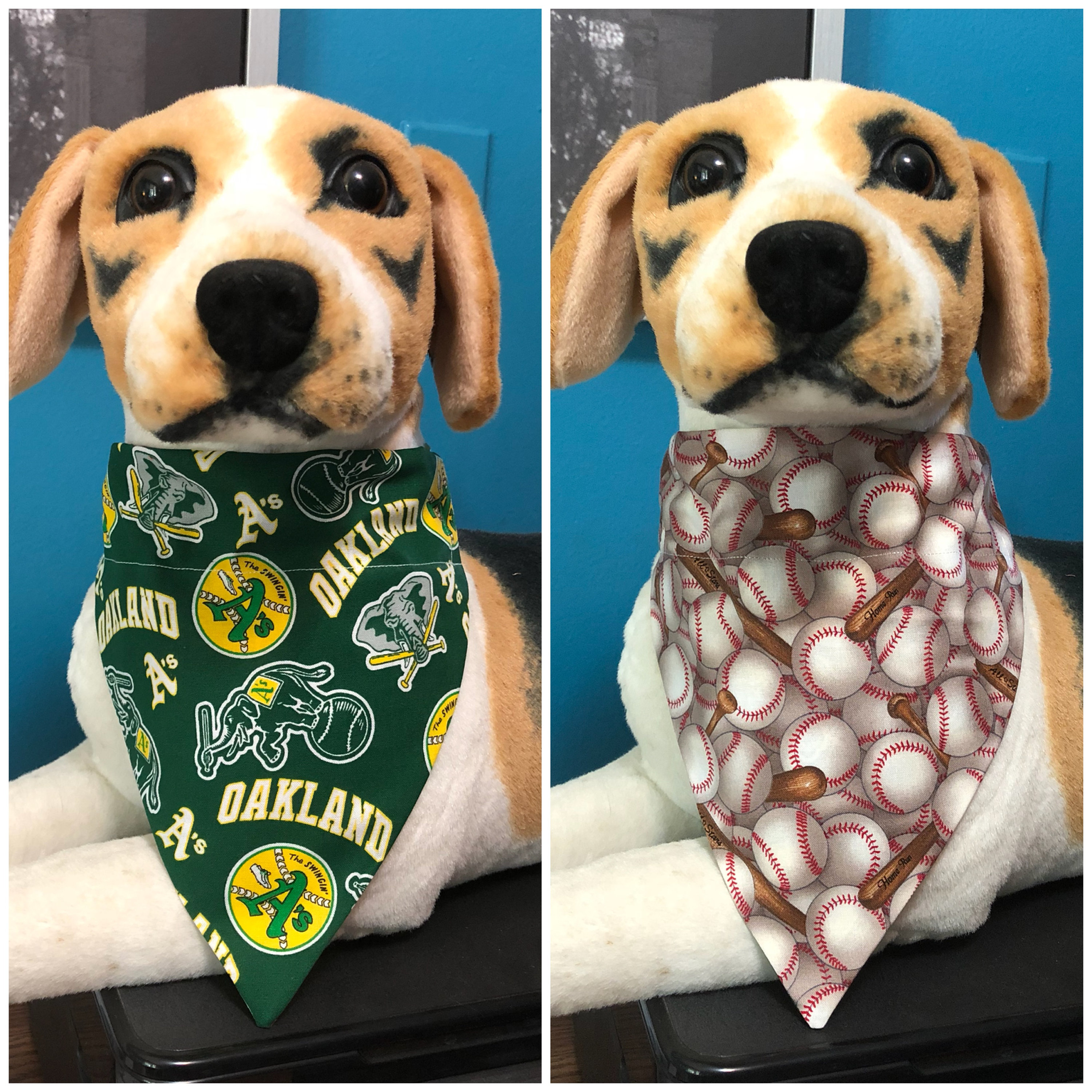 Oakland A's Dog 