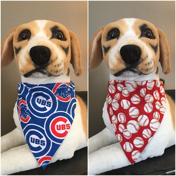 cubs dog scarf