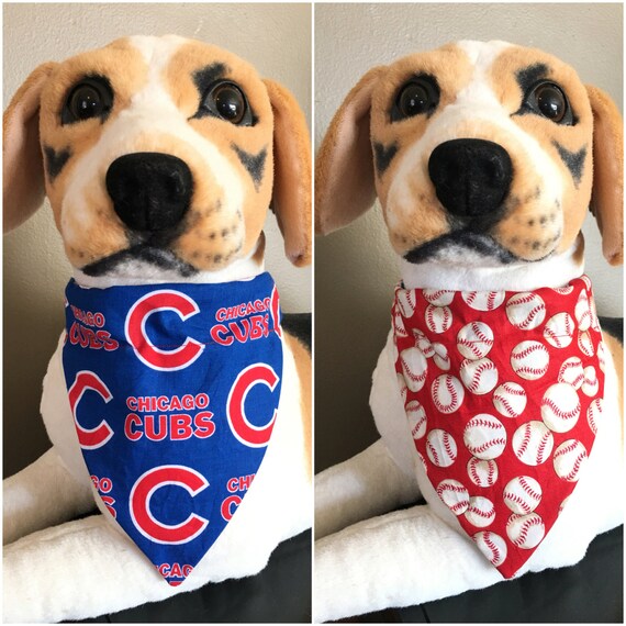 cubs dog scarf