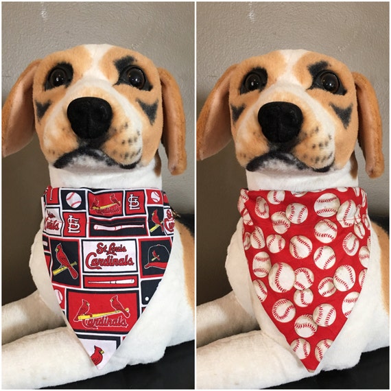 The STL Cardinals Dog Collar Baseball Dog Collar Stl Dog 