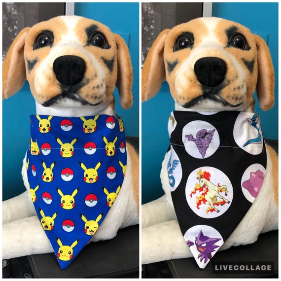 cedar shavings for dogs