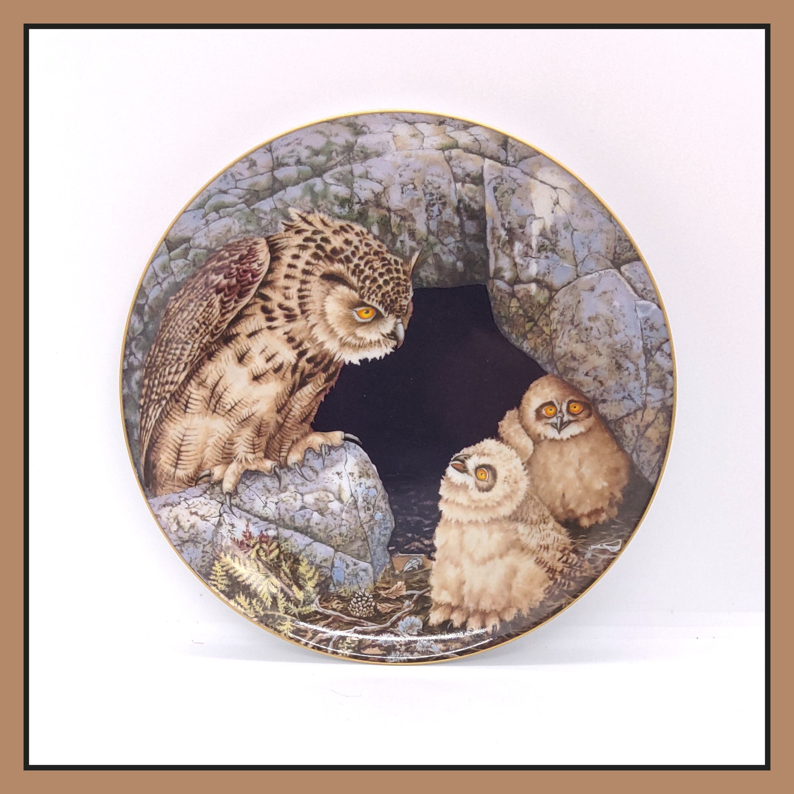 Vintage Aves Inviolabiles Reima Nurmikko Bubo Bubo Owl Wall