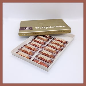 Vintage Fake Zahnformen Univac Polychrome Set