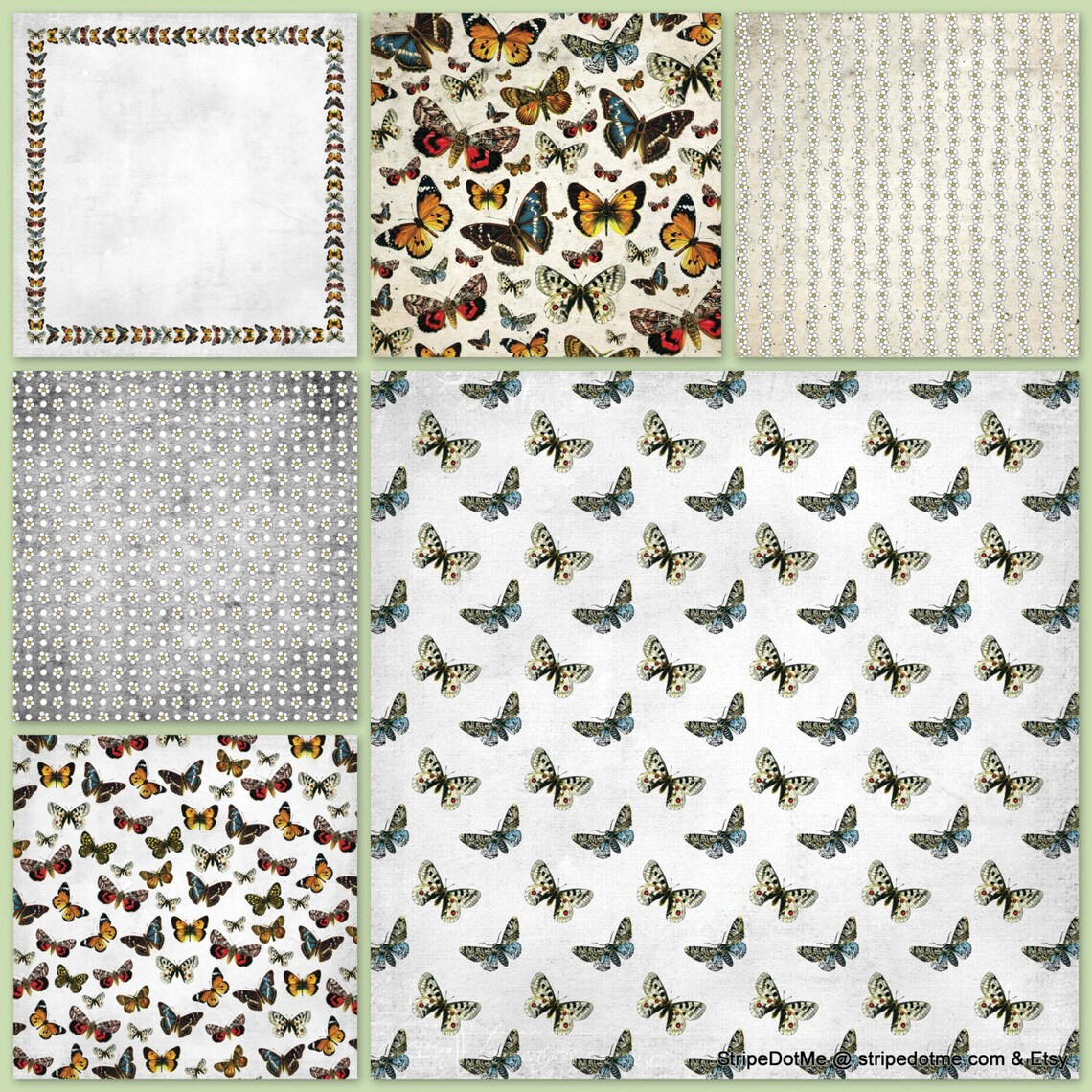Butterflies Digital Paper Pack Floral Spring Summer Polka Dots - Etsy