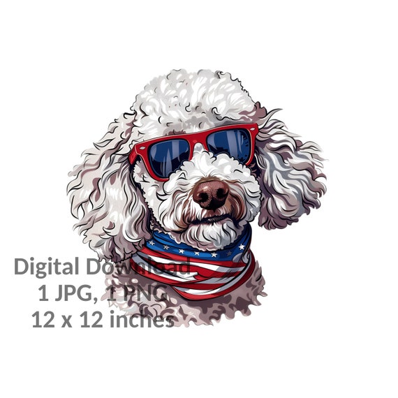 American Poodle Clipart, Patriotic Poodle PNG, American Dog Design