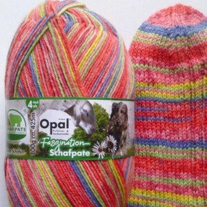 May include: A colourful ball of Opal yarn, predominantly red, pink, yellow, blue, and green, next to a knitted sock in similar hues. The yarn label displays a sheep and dog illustration. The yarn is 100g.