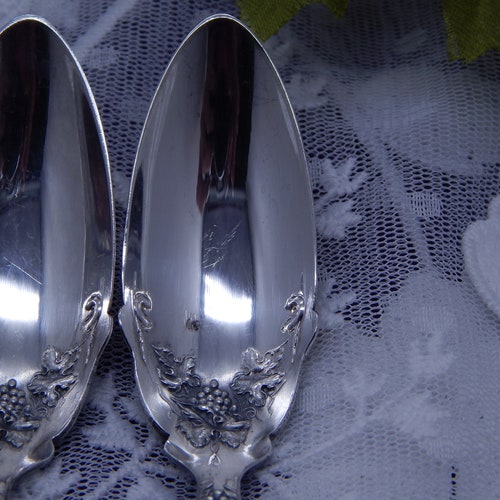 Antique 1881 Rogers Oneida Silverplate La Vigne LaVigne Art Nouveau 6 Fruit Grapefruit Spoons 1908 shops STUNNING!