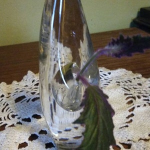 May include: A clear glass vase with a unique, rounded shape, featuring a single green and purple leaf inside. The vase is sitting on a white crocheted doily.