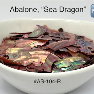 10g or 20g “Sea Dragon" Abalone Shell Pieces, Thin/Ultra-Thin Slices from "FunShine Colors.”
