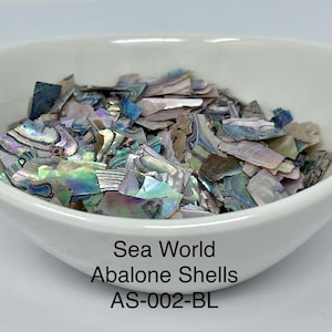 10g or 20g “Sea World" Abalone Shell Pieces, Ultra-Thin Slices from "FunShine Colors.”