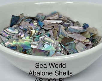 10g or 20g “Sea World" Abalone Shell Pieces, Ultra-Thin Slices from "FunShine Colors.”
