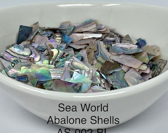 10g or 20g “Sea World" Abalone Shell Pieces, Ultra-Thin Slices from "FunShine Colors.”