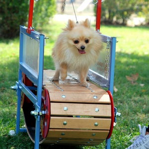 Firepaw Mini Dog Treadmill