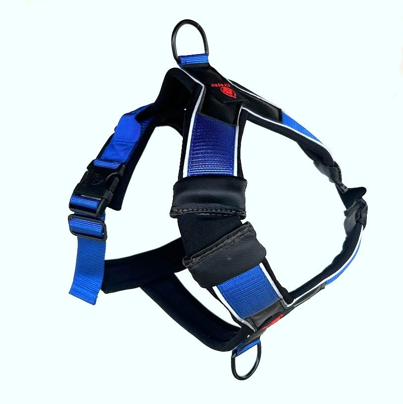 Firepaw Shock Absorbing Running Harness