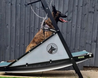 Firepaw Dragon Dog Treadmill