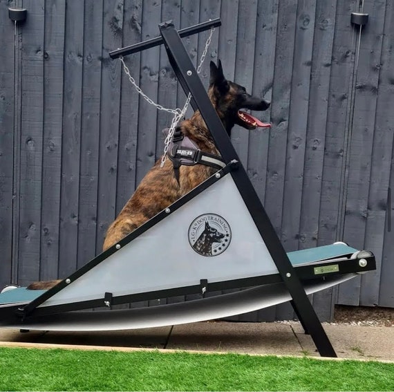 Firepaw Dragon Dog Treadmill -  Denmark