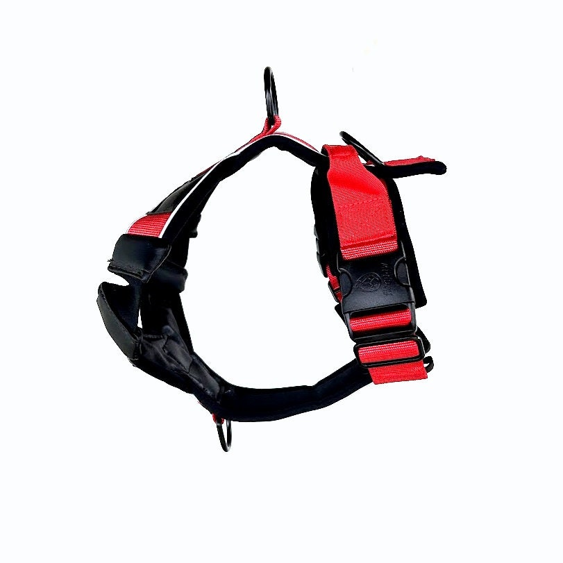 Firepaw Shock Absorbing Running Harness