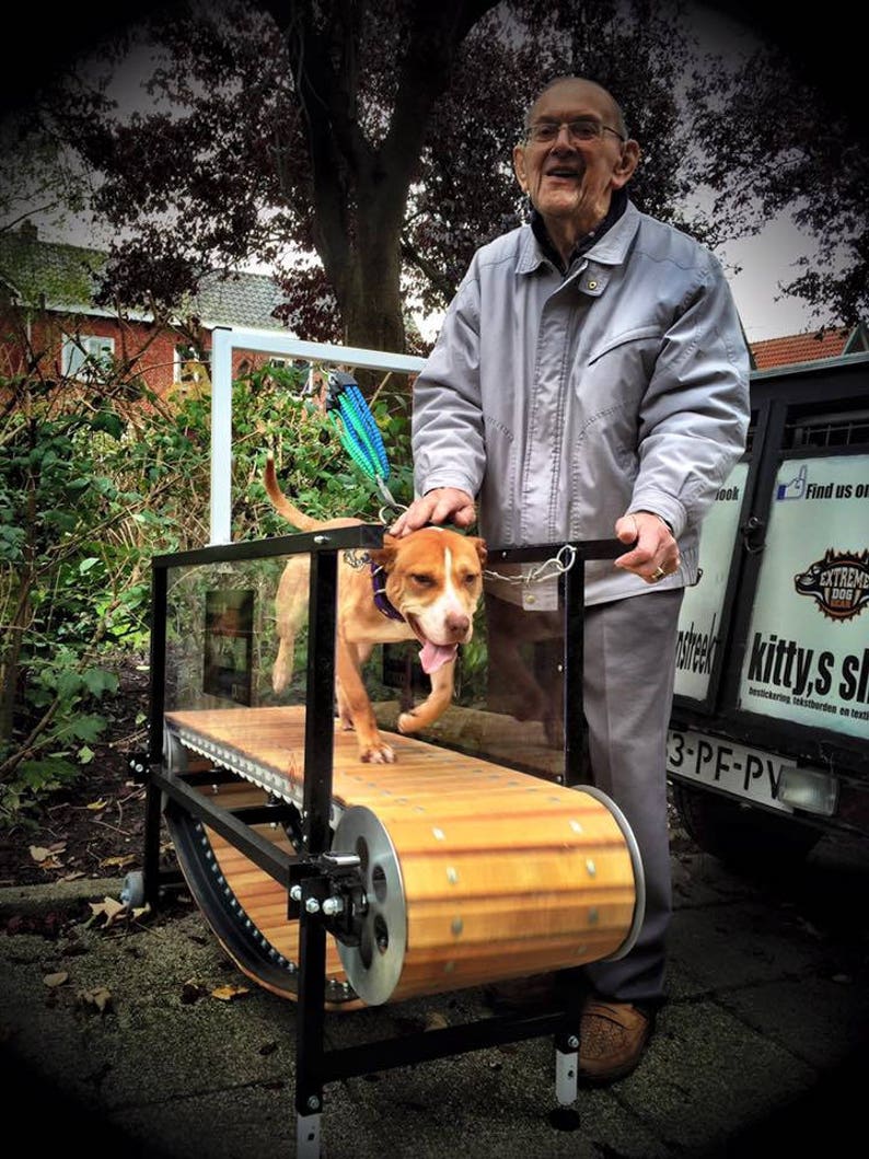 Firepaw Standard Dog Treadmill Slatmill Etsy