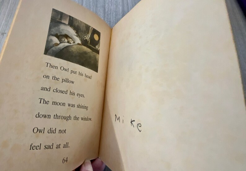 K&ouml;nnte beinhalten: Offenes Buch mit Text und einer Illustration einer Eule im Bett. Der Text lautet: &bdquo;Then Owl put his head on the pillow and closed his eyes.&ldquo; Das Wort &bdquo;Mike&ldquo; ist handschriftlich auf der rechten Seite. Die Seitenzahl 64 ist sichtbar.