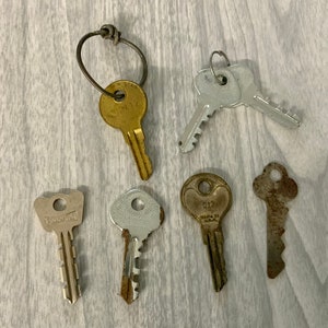 May include: A collection of seven keys, including a brass key with a ring, a silver key with a serrated edge, a silver key with a rounded head, a silver key with a rounded head and the text "Master" on it, a silver key with a rounded head and the text "312" on it, a rusty key with a rounded head, and a rusty key with a rounded head.