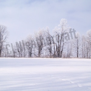 Winter landscape, Digital picture, winter photo,digital download,digital prints, instant download,digital background,snow photo,winter scene