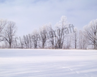 Paysage d'hiver, image numérique, photo d'hiver, téléchargement numérique, impressions numériques, téléchargement immédiat, arrière-plan numérique, photo de neige, scène d'hiver