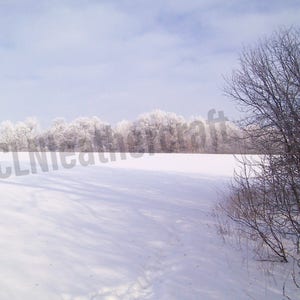 Winter landscape, Digital picture, winter photo,digital download,digital prints, instant download,digital background,snow photo,winter scene