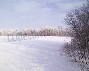 Paysage d'hiver, image numérique, photo d'hiver, téléchargement numérique, impressions numériques, téléchargement immédiat, arrière-plan numérique, photo de neige, scène d'hiver