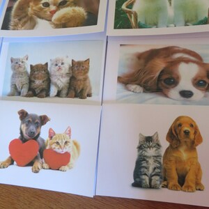 May include: A collection of greeting cards featuring various adorable animals, including cats and dogs. The cards are ideal for sending a heartwarming message to a loved one.