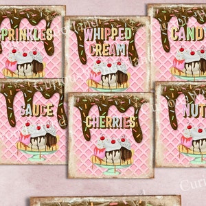 Ice Cream Sundae Mini Topping Tags, Ice Cream Party, Sundae Bar Decorations, Printable Food Labels, INSTANT DOWNLOAD, Ice Cream Bar