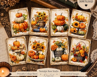 May include: A digital collage sheet featuring eight rectangular cards with autumn-themed illustrations of pumpkins, sunflowers, and foliage. The designs include pumpkins stacked in piles, arranged in baskets, or displayed on tiered stands with warm orange and yellow tones.
