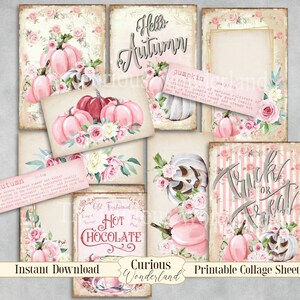 Pink Pumpkin Fall Collage Sheet Shabby Chic ATC Journal Cards Digital Image Scrapbook Ephemera Cards Printable Download ACEO Digital Cards