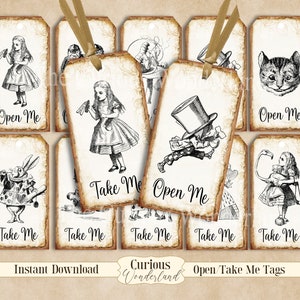 Alice in Wonderland Party Tags, Labels, Take Me Tags, Open Me Tags, Printable Tags, Favors Tea party Mad Hatter Digital Download