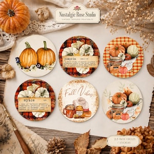 May include: Six circular stickers featuring autumn themes including pumpkins, plaid patterns, and text labels. Designs include a pumpkin dictionary definition, a spice definition, and the text Fall Vibes, alongside illustrations of mugs and jars.