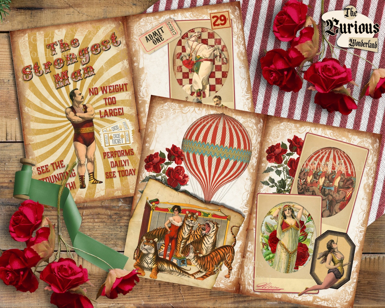 Vintage Circus Fun Junk Journal Pages Printable Digital - Etsy
