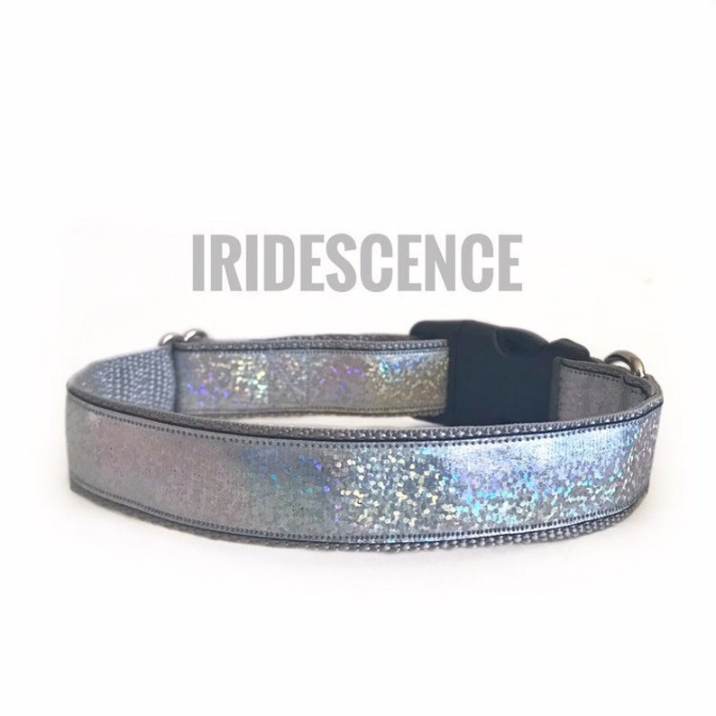 woof wear dog collars