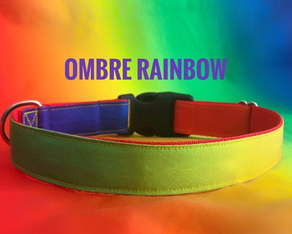 woof wear dog collars