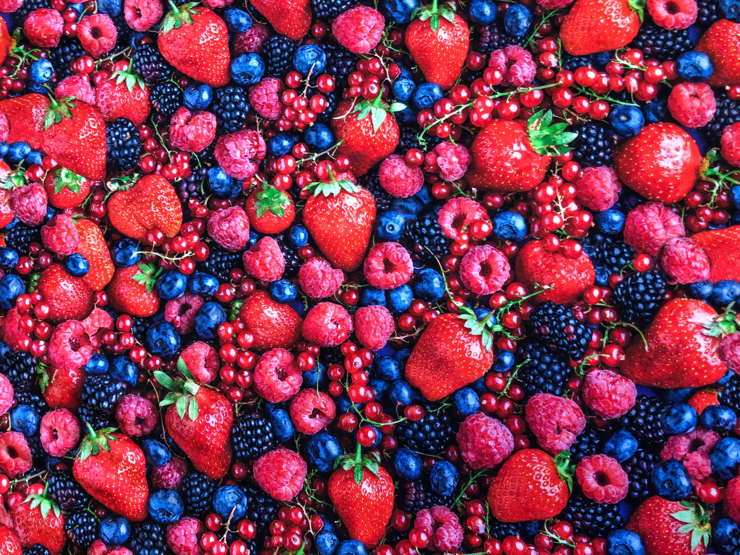 Berries Cotton Jersey Fabric Strawberries, Raspberries, Blueberries by ...