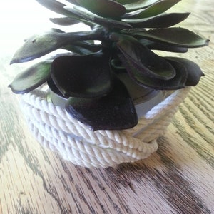 May include: A succulent plant with dark green and purple leaves is potted in a white container wrapped in white rope.