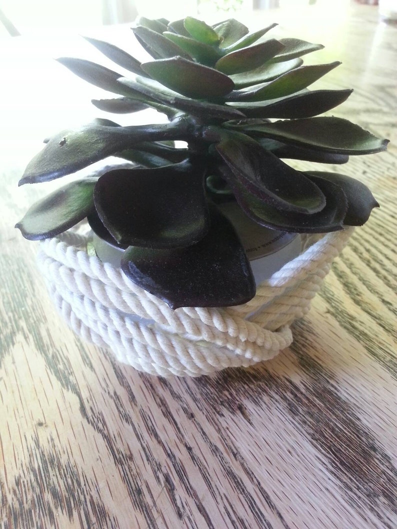May include: A succulent plant with dark green and purple leaves is potted in a white container wrapped in white rope.
