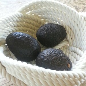 May include: Three ripe avocados in a white rope basket. The avocados are dark green and have a smooth, shiny skin.
