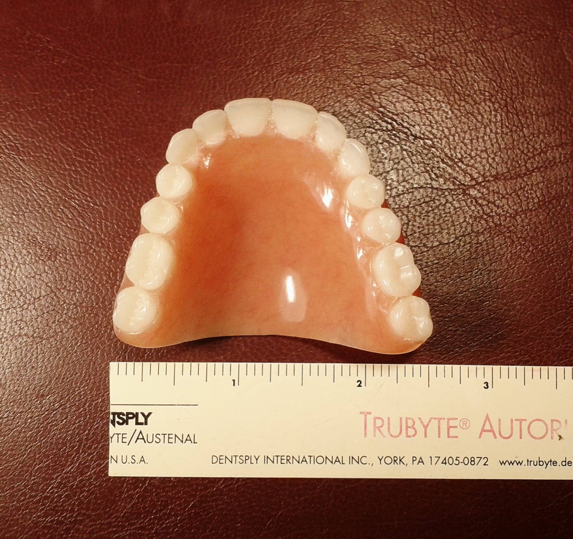 Denture medium upper false teeth BLEACH shade Etsy