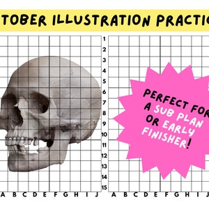 Grid Drawing - Skull Illustration - SUB plan/ Early Finisher - Middle School / High School Art