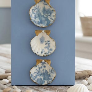 Shell Costal Decor, Sea Shell Wall Art, Shells Mounted on Canvas, One of a Kind