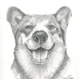 Dog Drawing Realistic-Dog Face Realistic Portrait Sketch-Graphite Animal Drawing-Corgi Breed