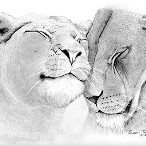 Lions Realistic Drawing-Graphite Pencil-Realism Animal Sketch-Original Art-Pencil Black and White Drawing-Hyper Realistic Lion Drawing